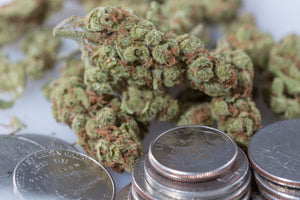 Arizona Medical Marijuana Regulators Must Revise Fee Policies, Auditor’s Review Says